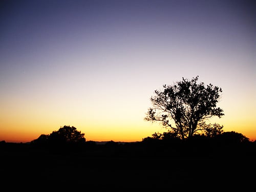 DSC00534