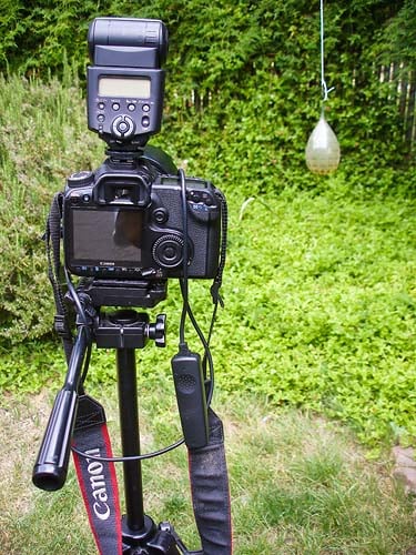 setup