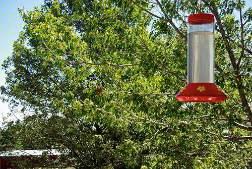 hum-feeder hum-feeder