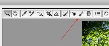 cs4brush cs4brush