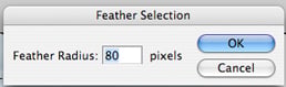 Adding a Subtle Vignette with Photoshop 5featherwide