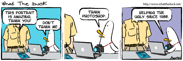 WTD413 WTD413
