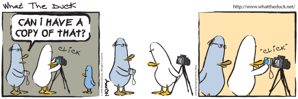 WTD609 WTD609