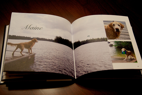 blurbbook