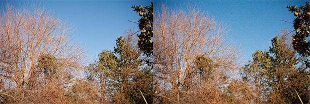 brighternoise Why Higher ISO Leads to Larger File Sizes brighternoise