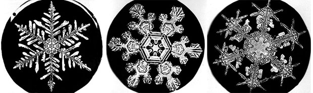snowflakes