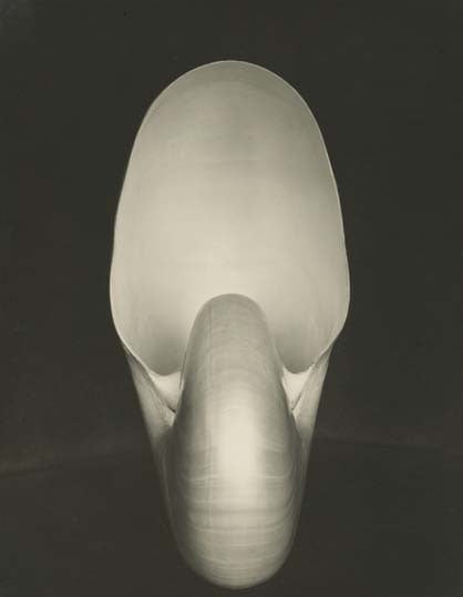 $10 Photo Now Worth up to $500,000 sothebys