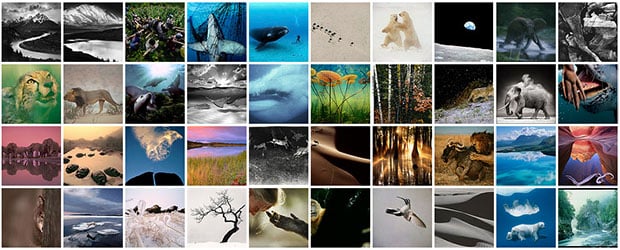 top40nature