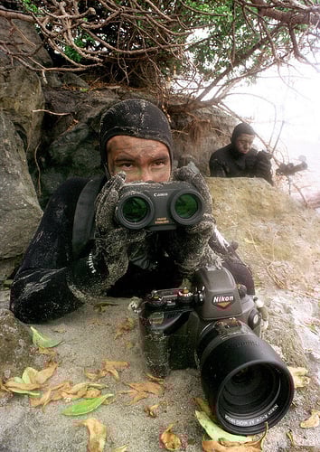 nikonos_seal.jpg