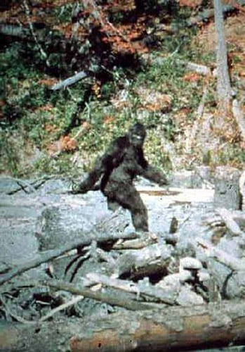 Famous Photos Redone with LEGO bigfoot2
