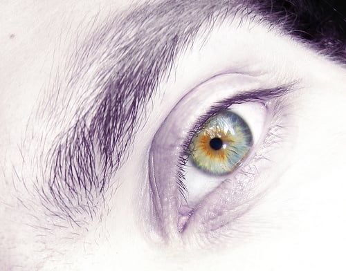 Light Sensitivity of the Human Eye eye