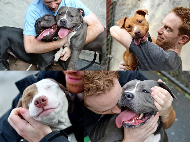 dogphotos_mini Woman Gets Fired From Shelter for Her Photos of Dogs Scheduled to Be Killed dogphotos mini