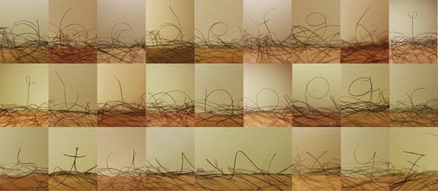 lgf1_mini Leg Hair Font: A Bizarre Typeface Created with Photos of Leg Hair lgf1 mini