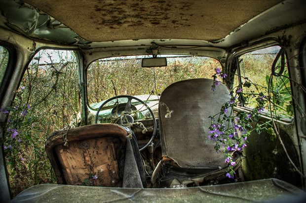 Portraits of Abandoned Cars Taken From the Back Seat backseat4 mini