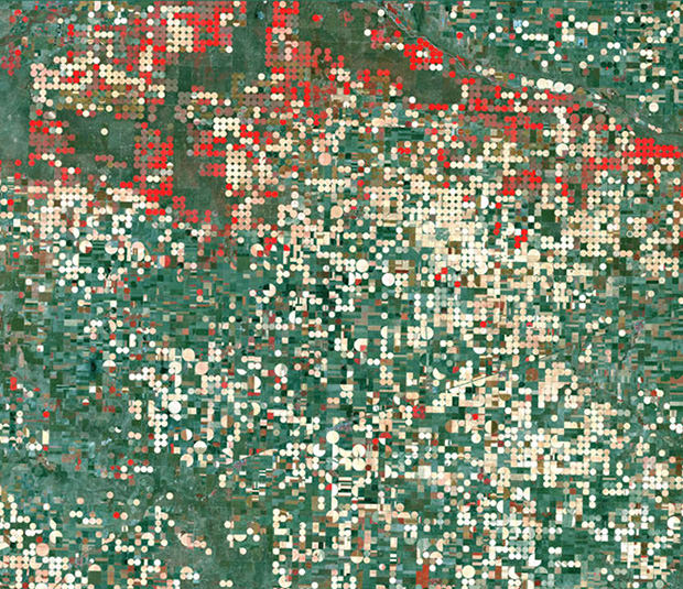 crop1_mini