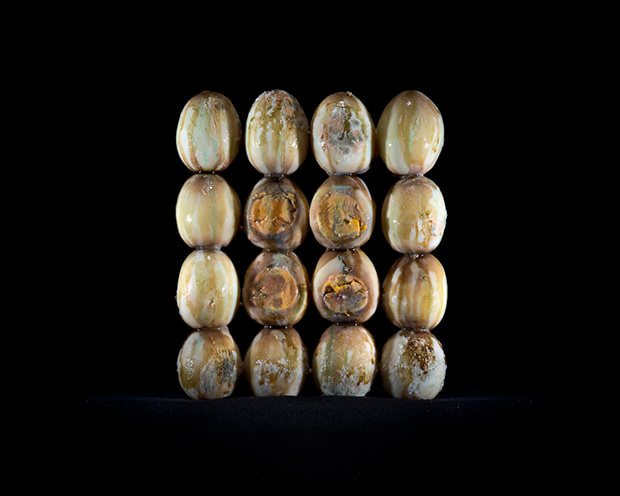 Photographs of Decaying Food Highlight the Global Problem of Waste food2 mini