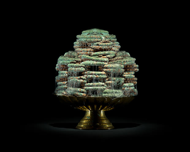 Photographs of Decaying Food Highlight the Global Problem of Waste food5 mini