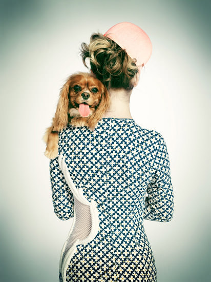 Fashion Photos with Dogs Peering Over Shoulders dog4 mini