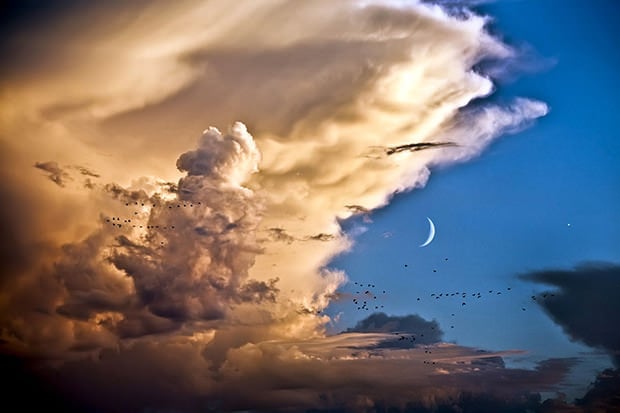 sky_mini