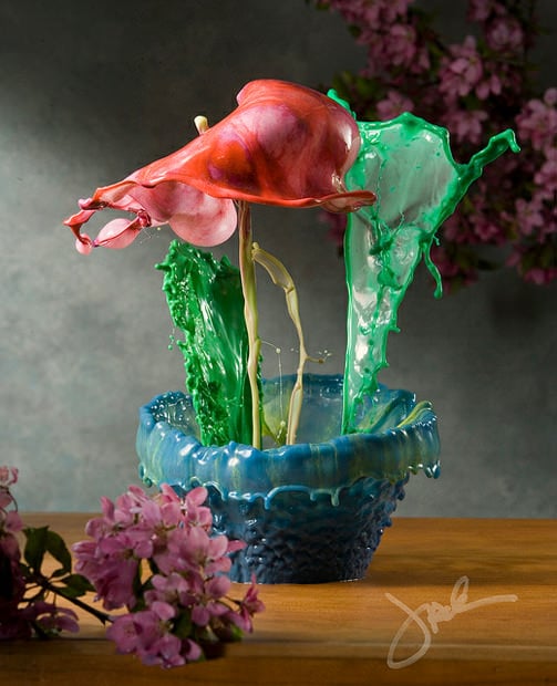 Incredible Flowers Created with Splashes and High Speed Photography flower1 mini