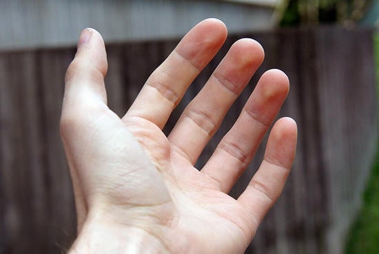 Use Your Hand as a Makeshift Gray Card for Estimating Exposure hand mini