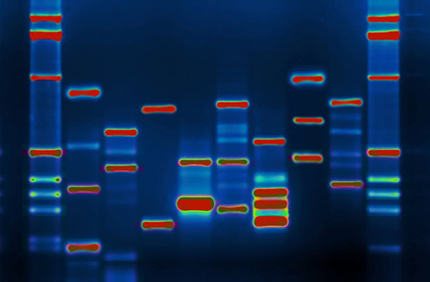 dna_mini