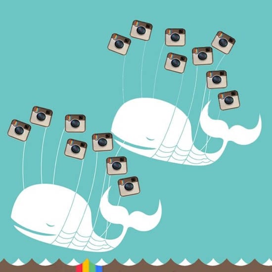 instagramtwitter