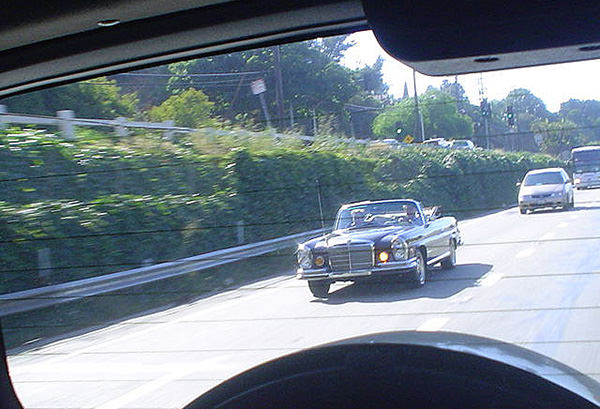 paparazzi_mini