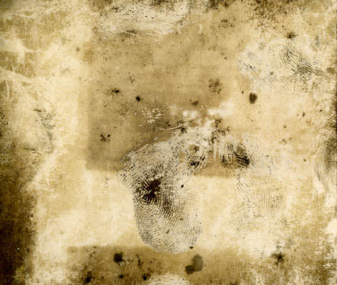 photopaper4