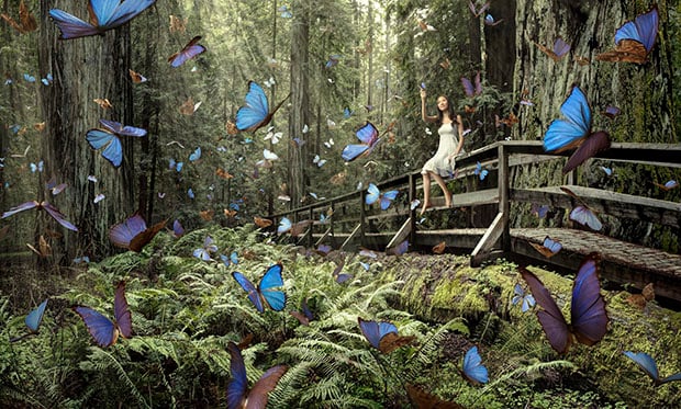 butterflygirl Photoshop in Photography: What Defines a Photograph? butterflygirl