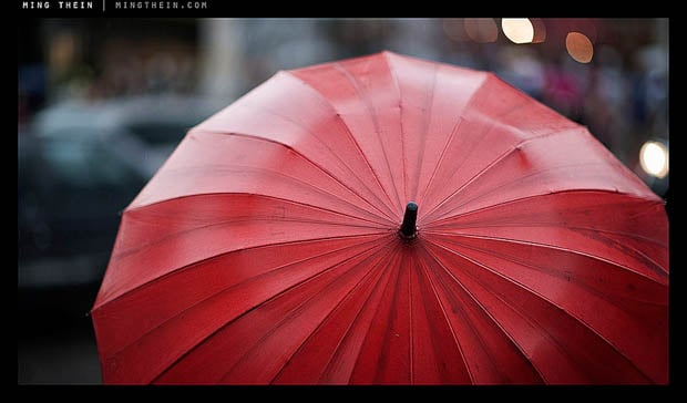 16:9 and cinematic. Note how the whole subject isn’t necessary for you to identify it.