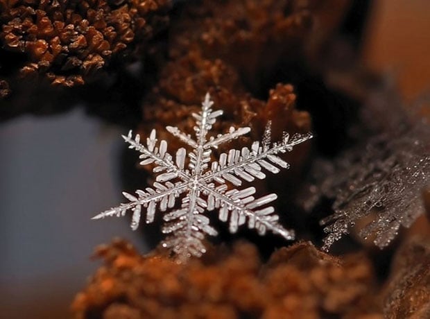 Ethereal Macro Photos of Snowflakes in the Moments Before They Disappear macrosnow11
