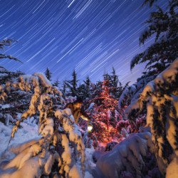 Christmas Lights, the Moon, and Snow Covered Trees