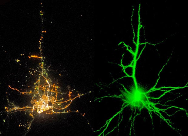 Photos Showing the Strange Similarities of Human Cities and Human Neurons citiesandneurons1