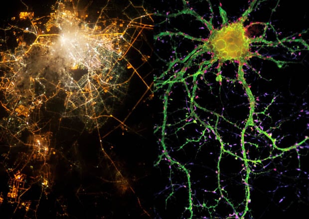 Photos Showing the Strange Similarities of Human Cities and Human Neurons Photos Showing the Strange Similarities of Human Cities and Human Neurons citiesandneurons3