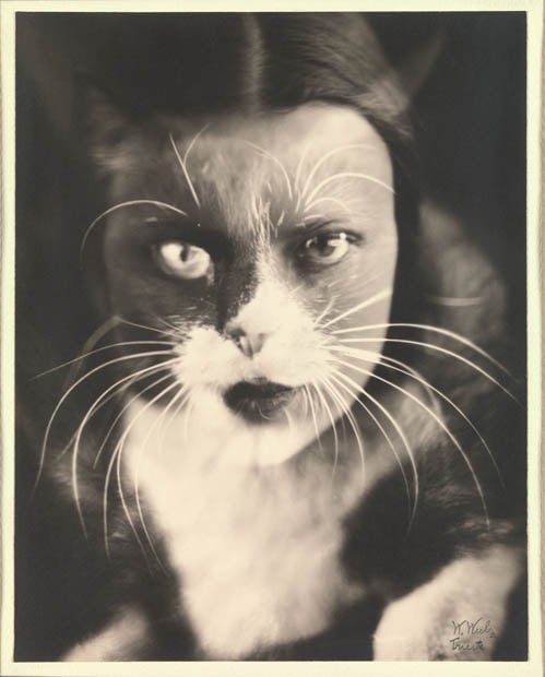 Why Founding Photog William Henry Fox Talbot Would Have Grokked Photoshop Why Founding Photog William Henry Fox Talbot Would Have Grokked Photoshop grokk