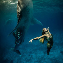 An Underwater Fashion Shoot Featuring a Whale Shark