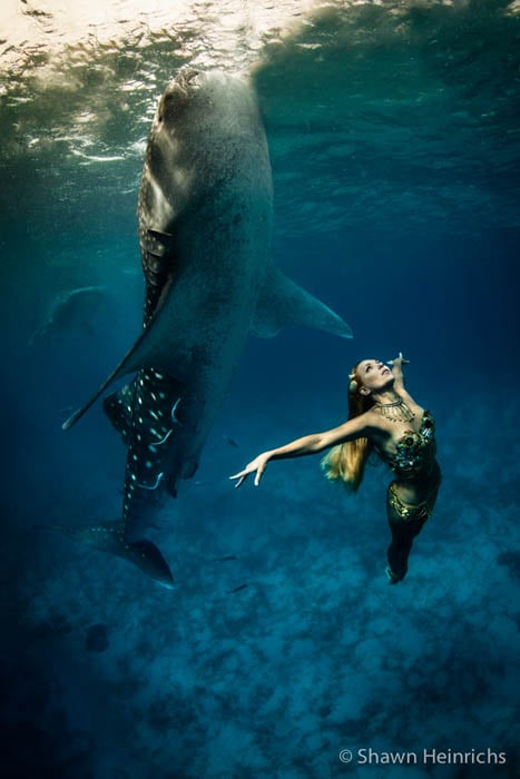 An Underwater Fashion Shoot Featuring a Whale Shark An Underwater Fashion Shoot Featuring a Whale Shark whalesharkfashionshoot 9