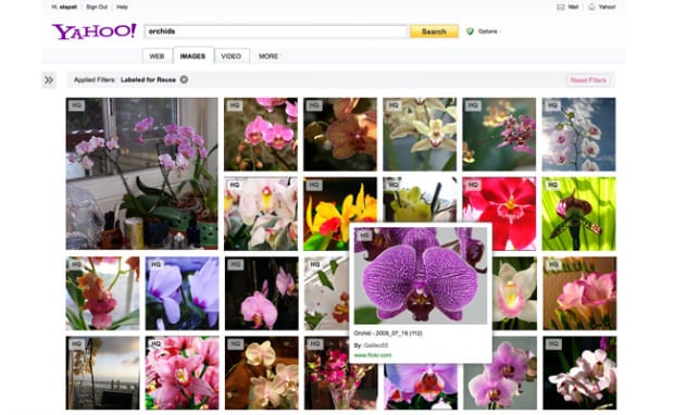 yahoosearch1_mini