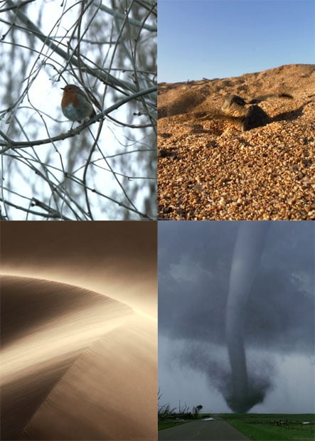 Beautiful Nature Cinemagraphs Created from Wildlife Documentaries cinemagraph
