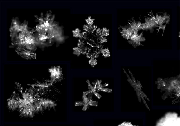 A closer look at some of the flakes in the image above