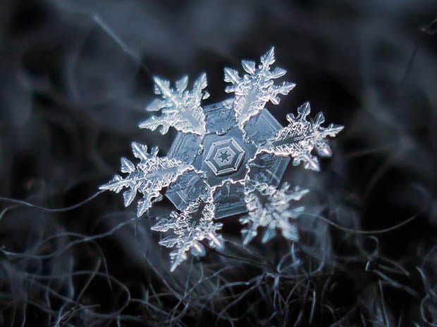 Snowflake Macro Photos Captured Using a Canon PowerShot Compact Camera snowflake 4b