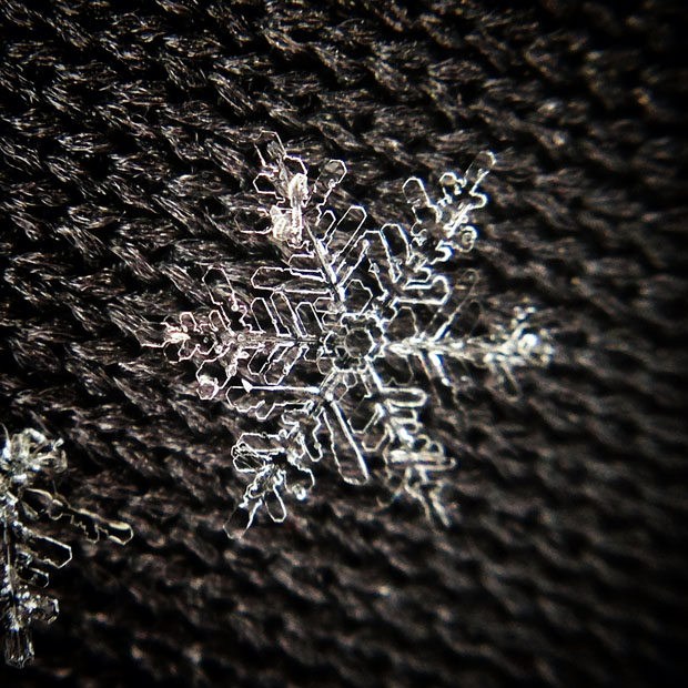 iphonesnowflakes-5