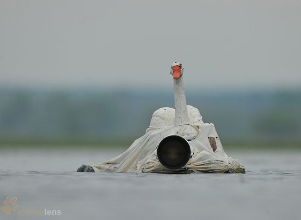 Fotografie