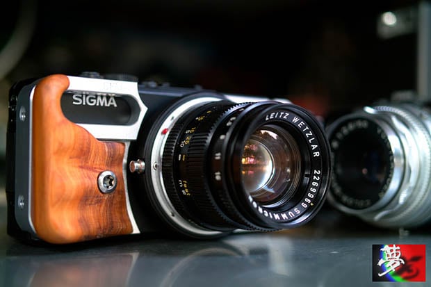 sigmadpleica1